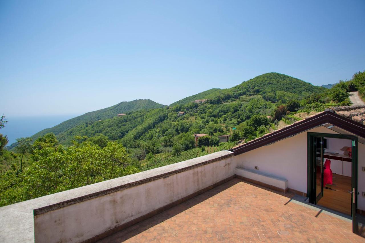 Agriturismo Villa Lupara Salerno Exterior photo