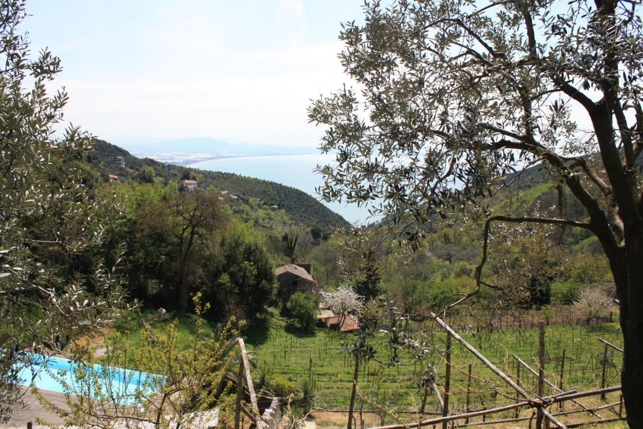 Agriturismo Villa Lupara Salerno Exterior photo